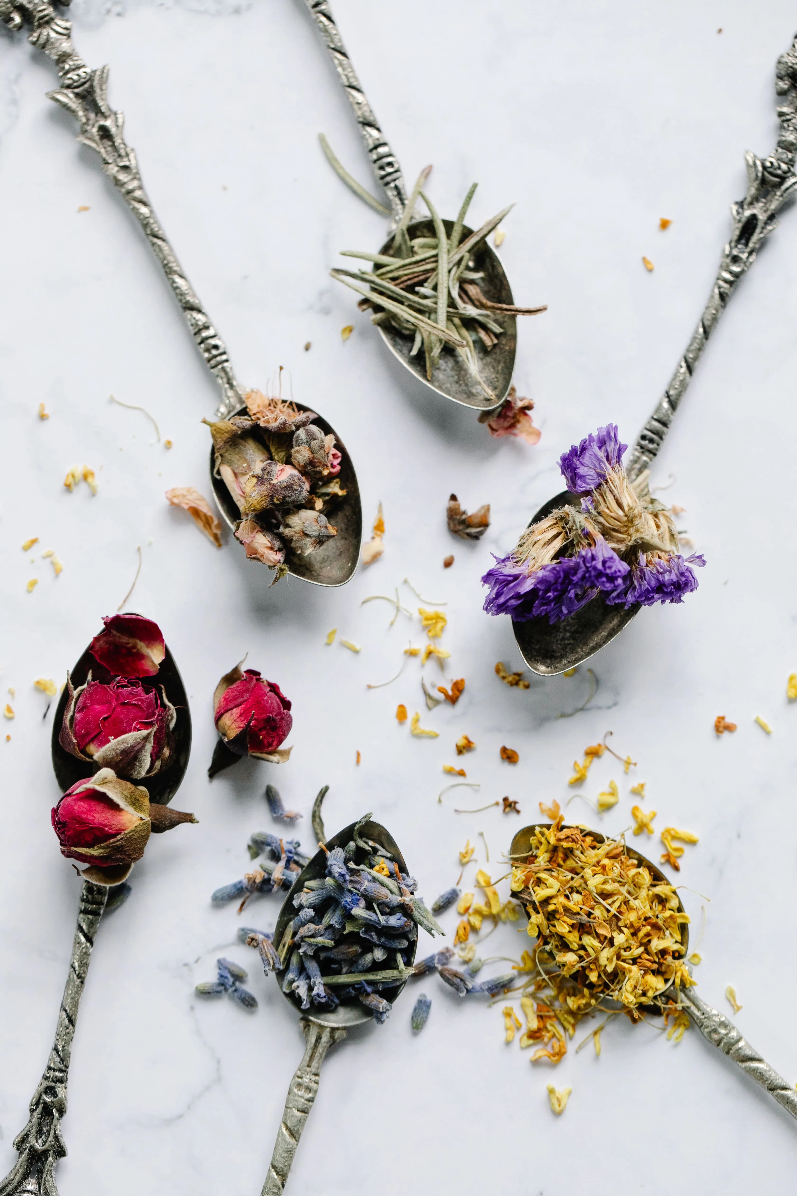 Seasonal herbs